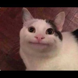 Meet your Posher, Jess